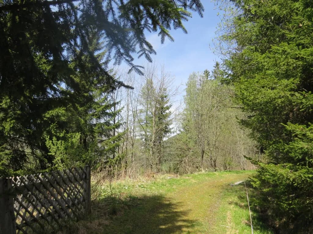 Immobilie kaufen in Murtal – 1 123 m² – Bild 3 von 6
