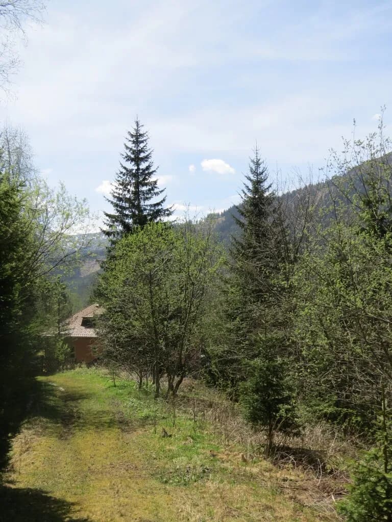 Immobilie kaufen in Murtal – 1 123 m² – Bild 5 von 6