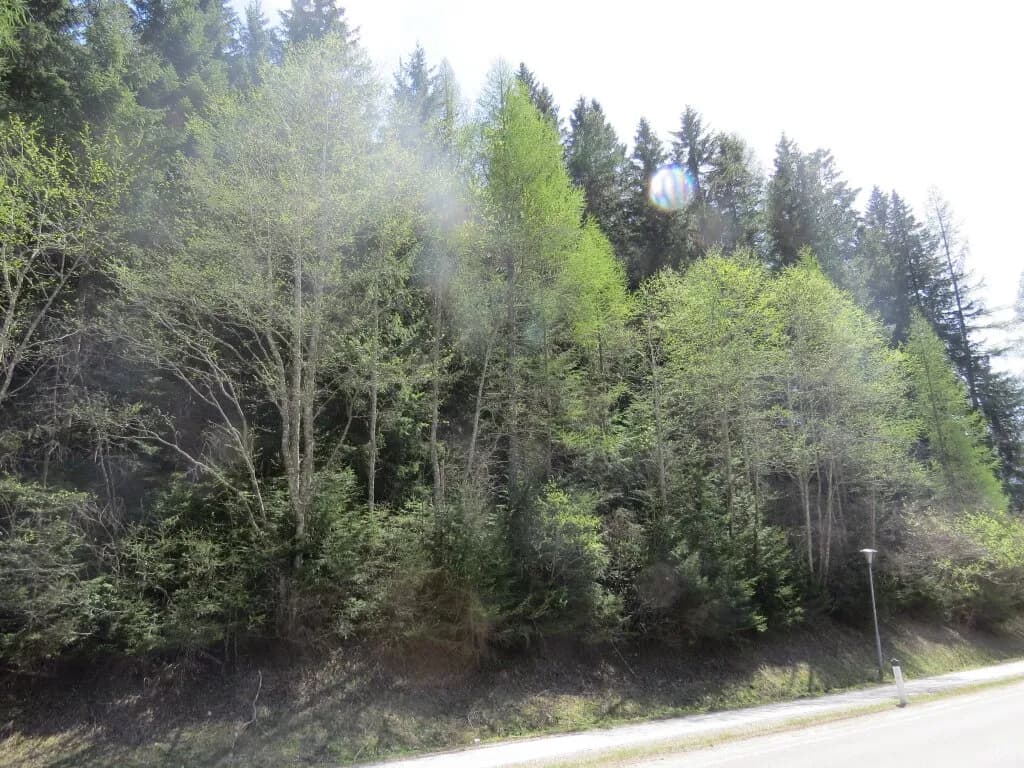 Immobilie kaufen in Murtal – 1 123 m² – Bild 6 von 6