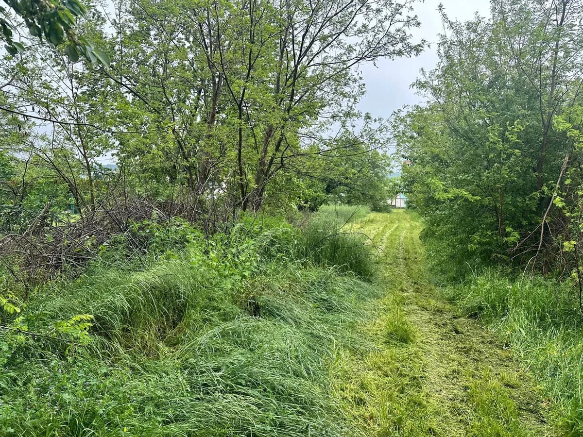 Grundstück kaufen in Neusiedl am See – 2 452 m², € 300.000 – Bild 7 von 35