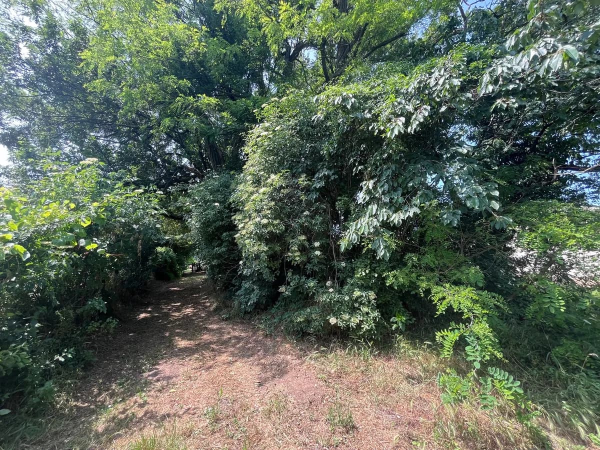 Grundstück kaufen in Neusiedl am See – 2 452 m², € 300.000 – Bild 20 von 35