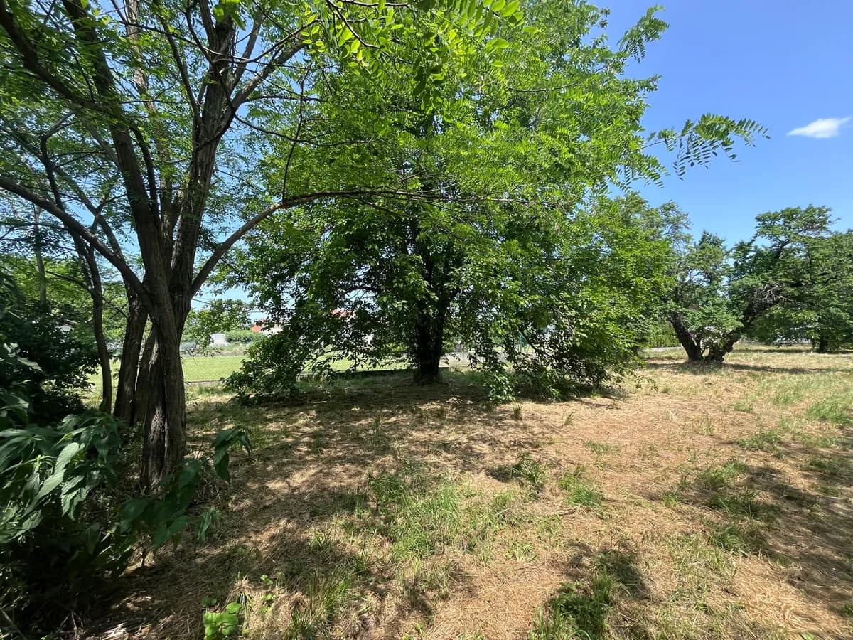 Grundstück kaufen in Neusiedl am See – 2 452 m², € 300.000 – Bild 22 von 35