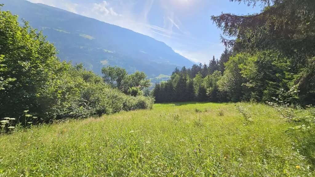 Grundstück kaufen in Spittal an der Drau – 8 740 m², € 150.000 – Bild 5 von 11