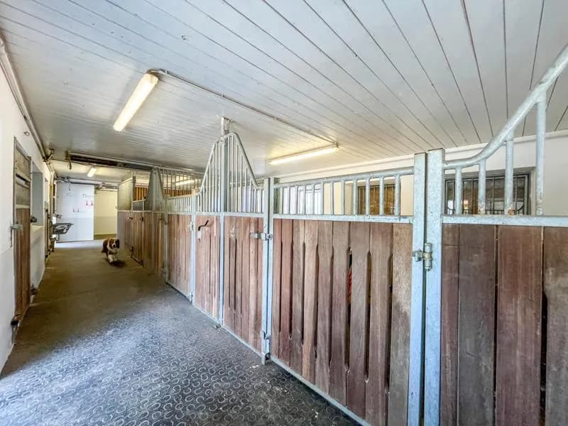 11-Zimmer-Gewerbeimmobilie kaufen in Braunau am Inn – 345 m², € 2.590.000 – Bild 18 von 22