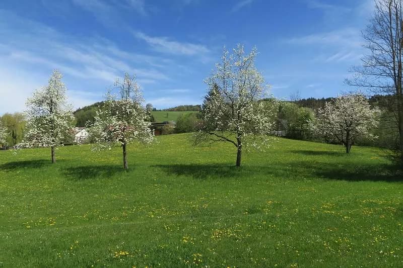 Wohnung mieten in Melk – 160 m², € 630 – Bild 36 von 36