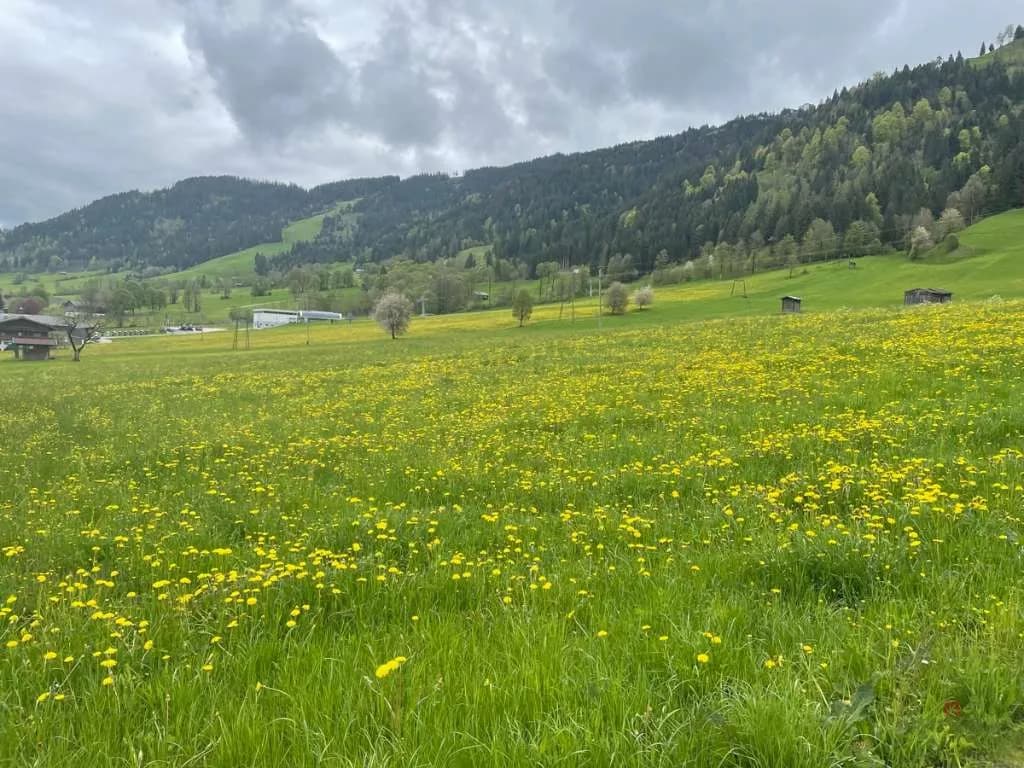 6-Zimmer-Haus kaufen in Kufstein – 110 m², € 550.249 – Bild 9 von 12