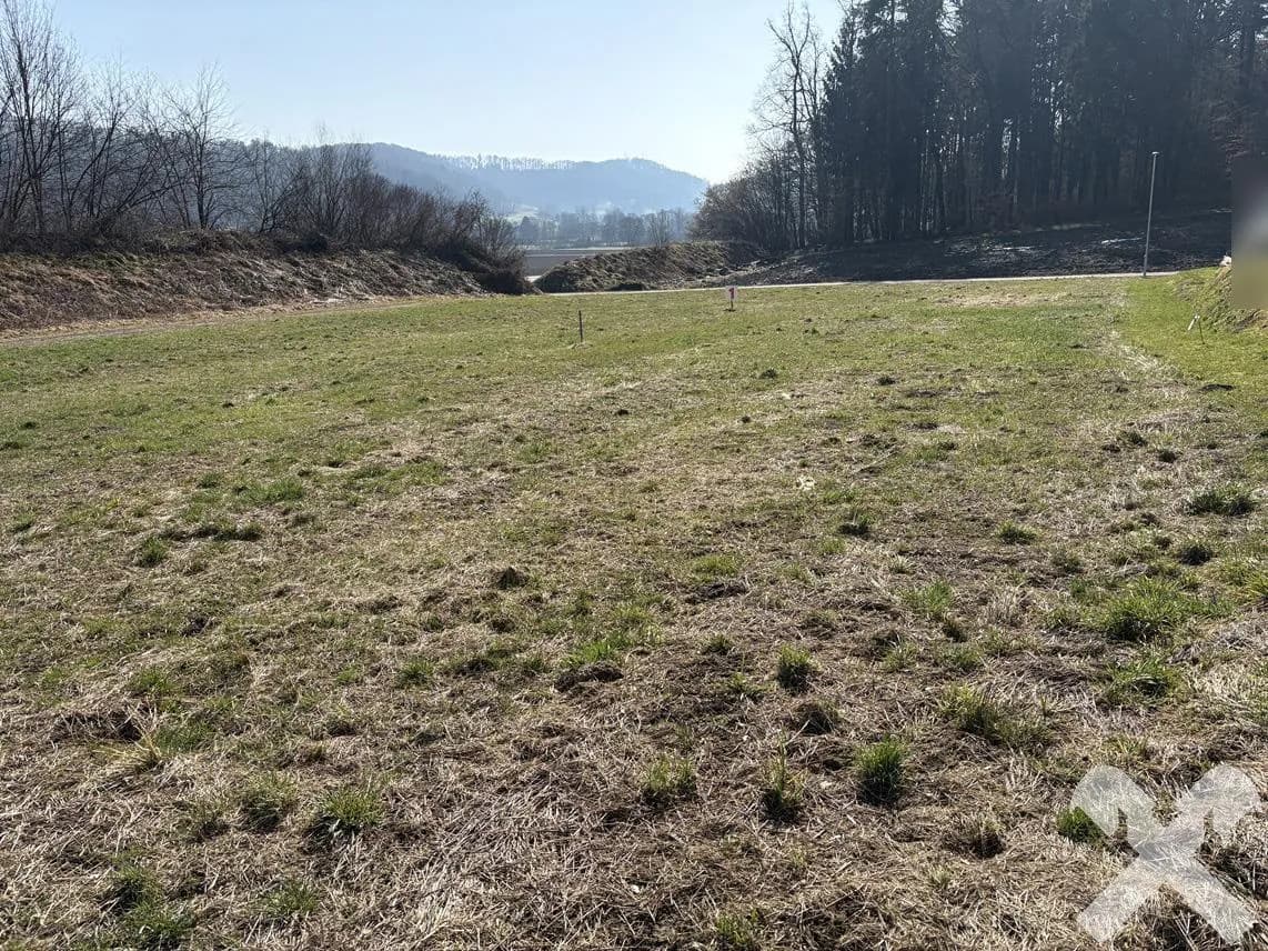 Grundstück kaufen in Südoststeiermark – 3 688 m², € 240.000 – Bild 4 von 11