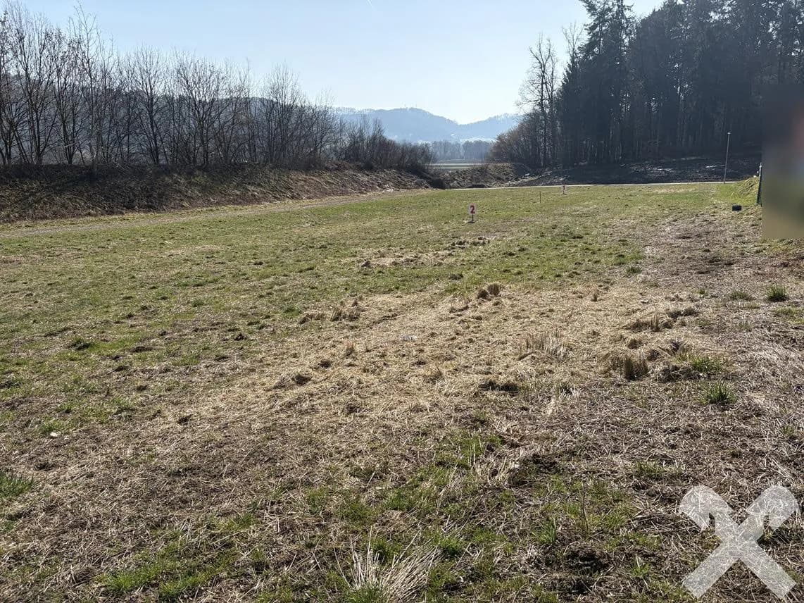 Grundstück kaufen in Südoststeiermark – 3 688 m², € 240.000 – Bild 6 von 11