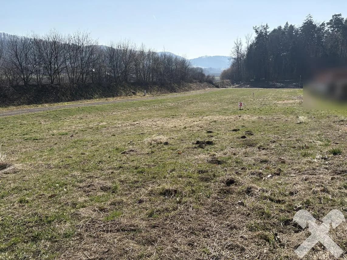 Grundstück kaufen in Südoststeiermark – 3 688 m², € 240.000 – Bild 7 von 11