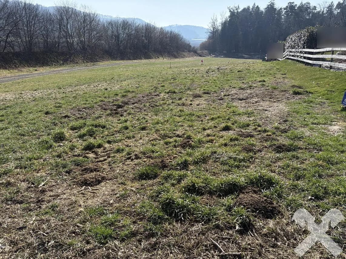 Grundstück kaufen in Südoststeiermark – 3 688 m², € 240.000 – Bild 9 von 11