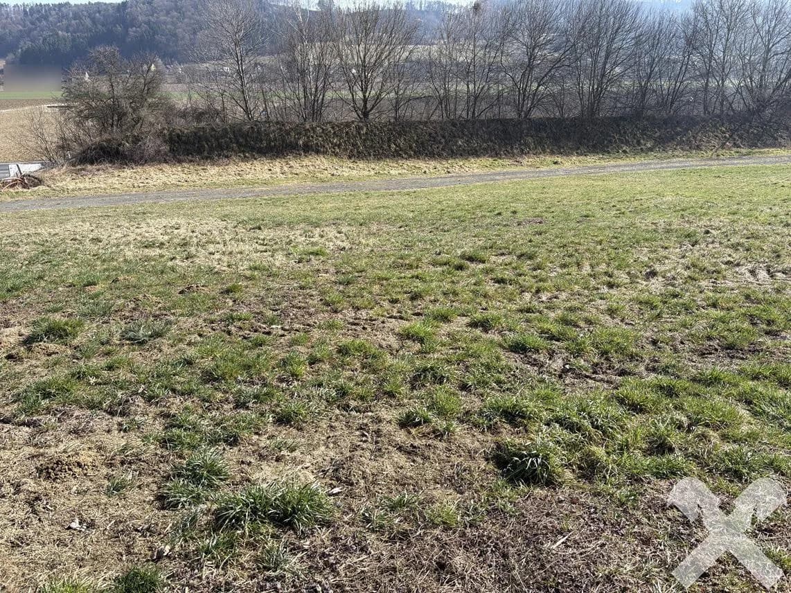 Grundstück kaufen in Südoststeiermark – 3 688 m², € 240.000 – Bild 10 von 11