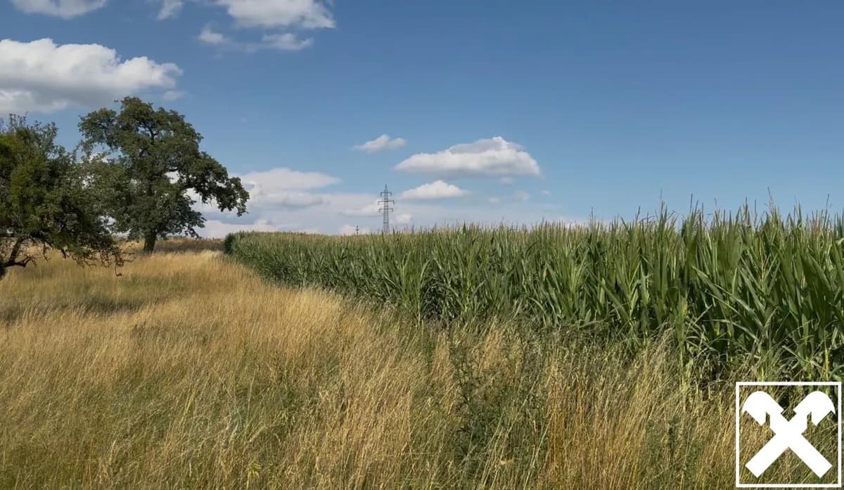 Grundstück kaufen in Steyr-Land – 156 455 m²