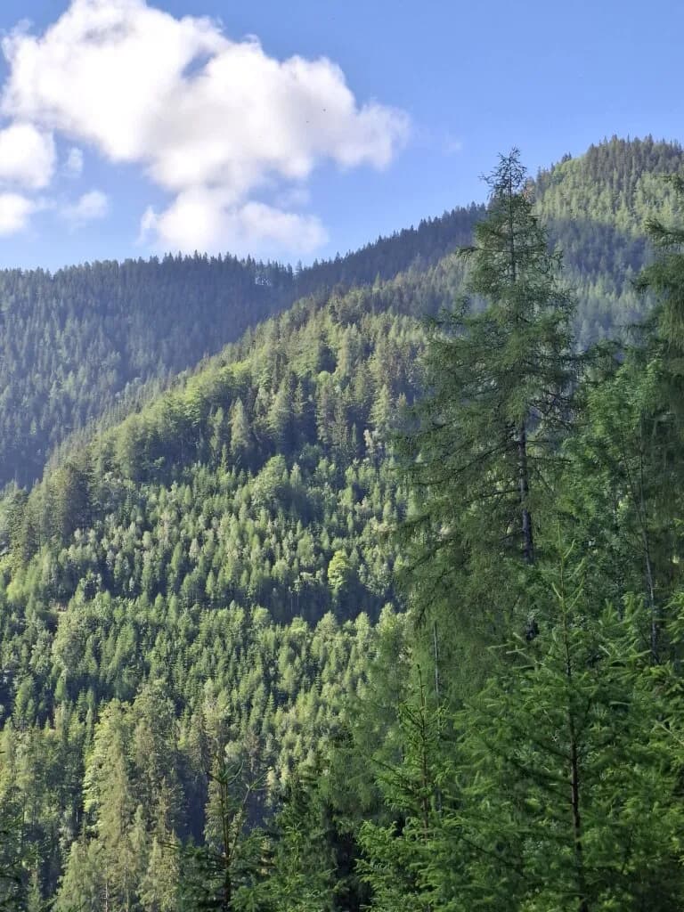 Immobilie kaufen in Bruck-Mürzzuschlag – 132 594 m²