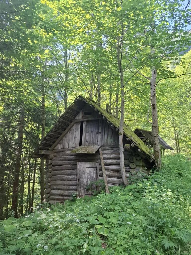 Immobilie kaufen in Bruck-Mürzzuschlag – 132 594 m² – Bild 4 von 7
