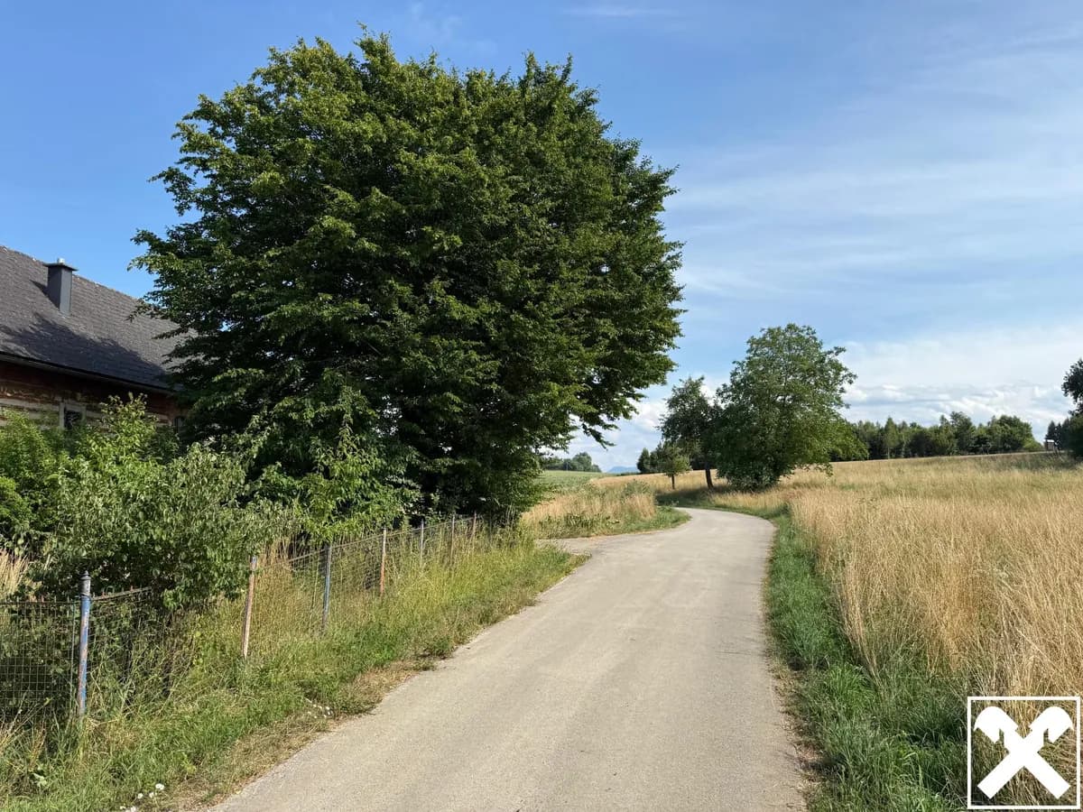 Immobilie kaufen in Steyr-Land – 5 356 m² – Bild 12 von 13