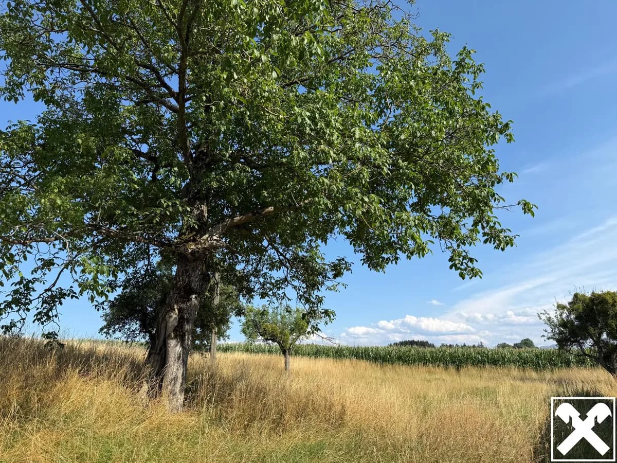 Immobilie kaufen in Steyr-Land – 5 356 m² – Bild 13 von 13