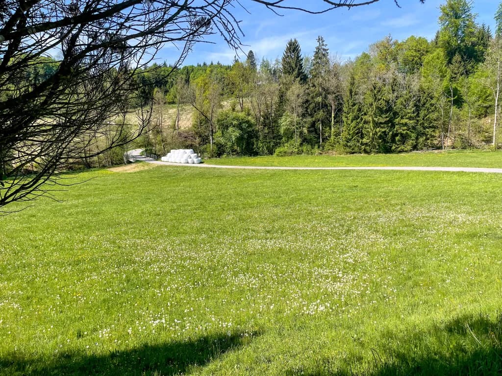 Grundstück kaufen in Urfahr-Umgebung – 718 m², € 99.500 – Bild 6 von 9