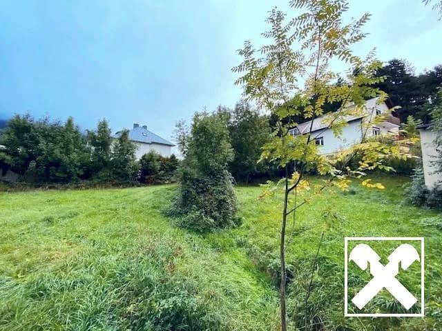 Grundstück kaufen in Neunkirchen – 2 254 m², € 124.000 – Bild 4 von 7