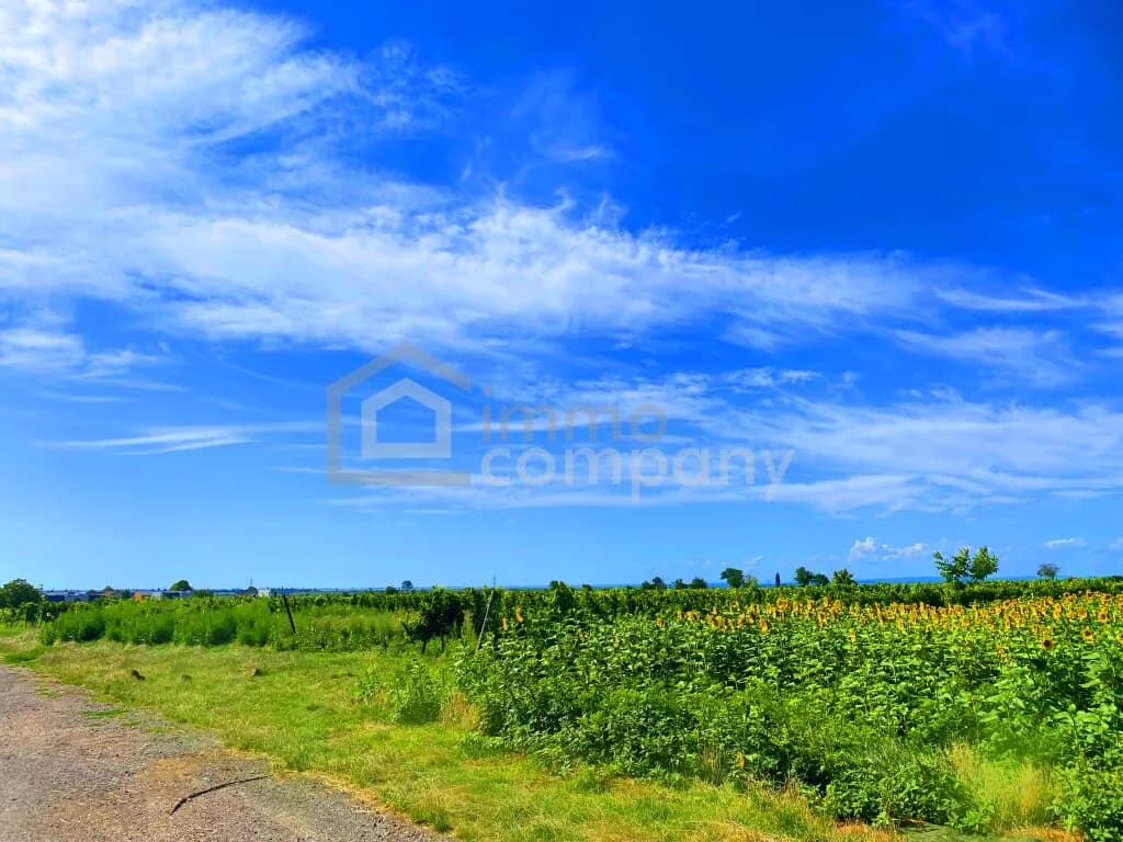Grundstück kaufen in Neusiedl am See – 948 m², € 298.000 – Bild 3 von 4