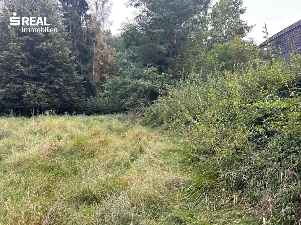 Grundstück kaufen in Graz – 1 956 m², € 620.000 – Bild 3 von 4
