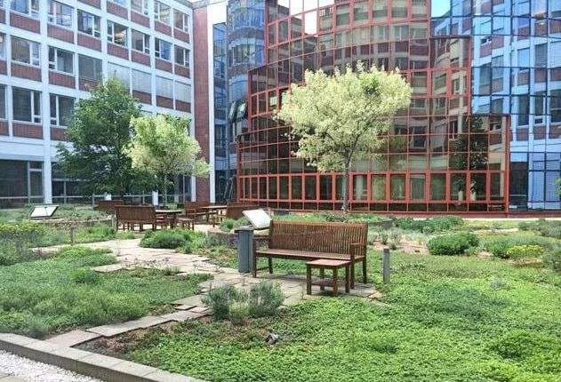 4-Zimmer-Gewerbeimmobilie mieten in Wien – 137 m², € 3.316 – Bild 11 von 12