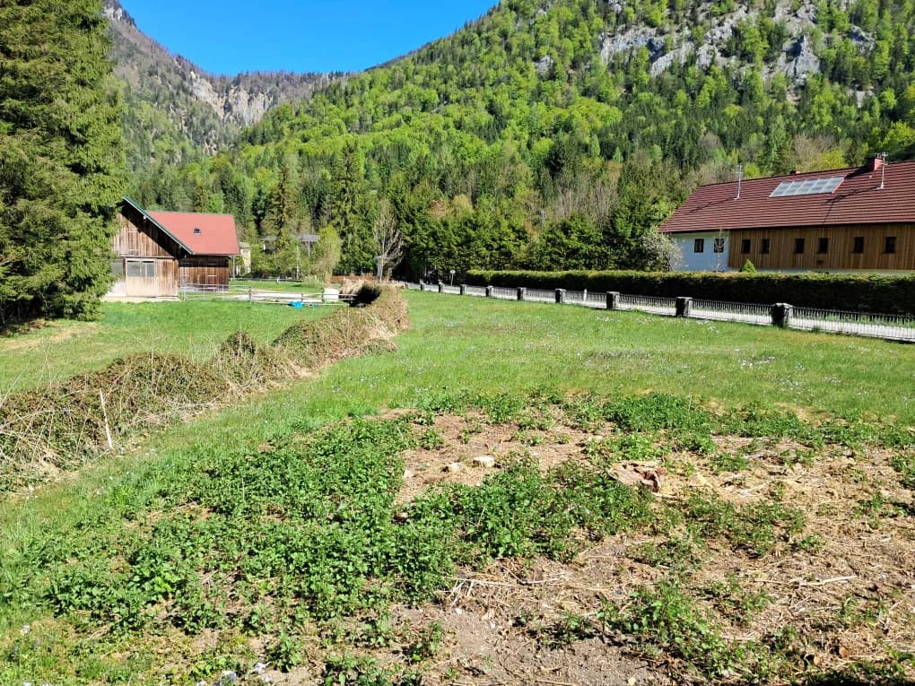 Grundstück kaufen in Gmunden – 576 m², € 75.000 – Bild 2 von 6