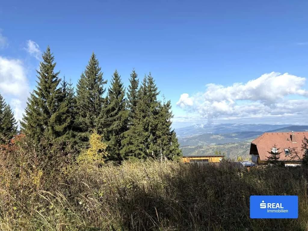 Haus kaufen in Wolfsberg – 3 331 m², € 330.000 – Bild 9 von 9