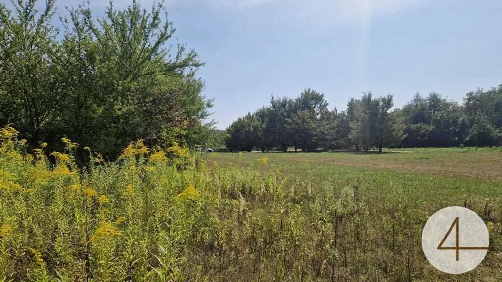 Grundstück kaufen in Wels-Land – 7 338 m² – Bild 11 von 14