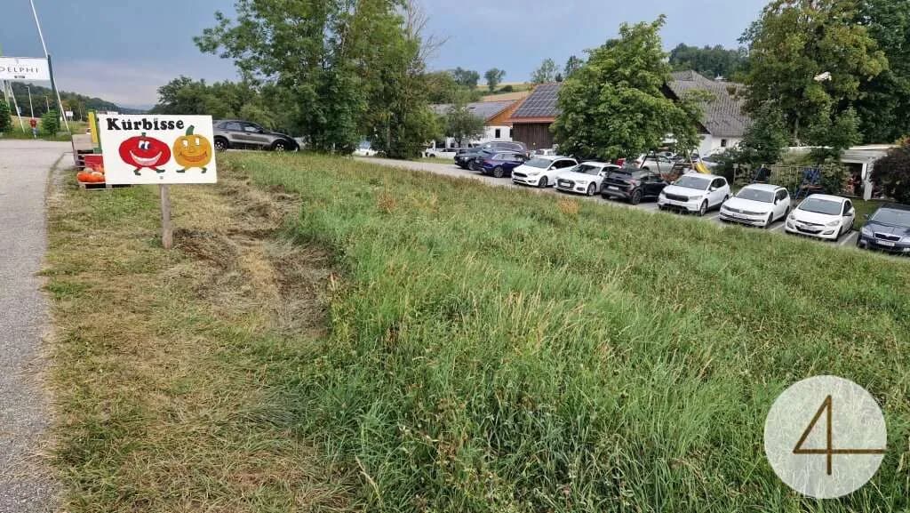 Grundstück kaufen in Wels-Land – 7 338 m² – Bild 12 von 14