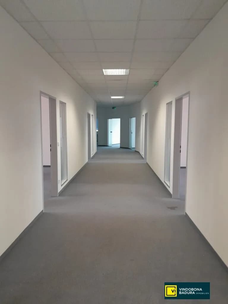 Gewerbeimmobilie mieten in Wien – 423 m², € 4.796 – Bild 8 von 10