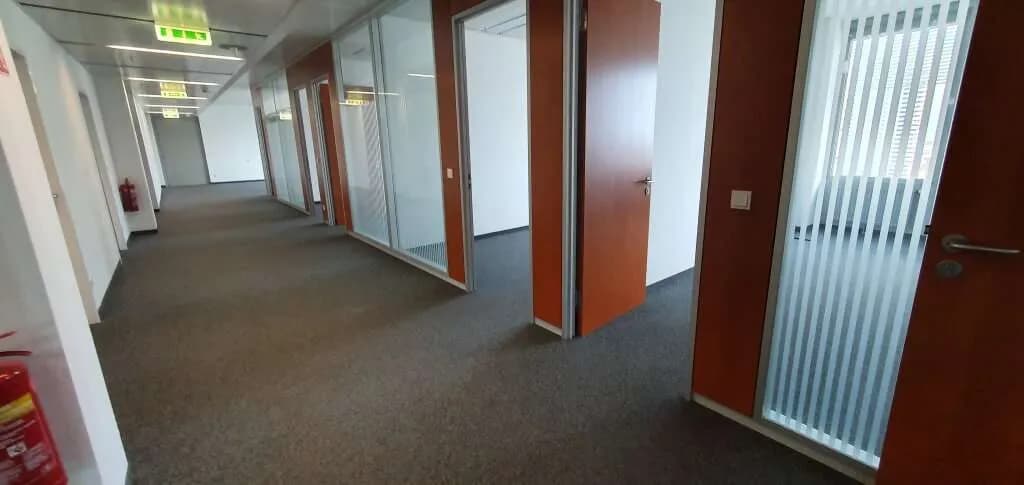 Gewerbeimmobilie mieten in Wien – 448 m², € 9.042 – Bild 7 von 14