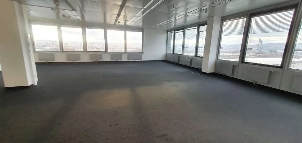 Gewerbeimmobilie mieten in Wien – 1 485 m², € 29.122 – Bild 2 von 13