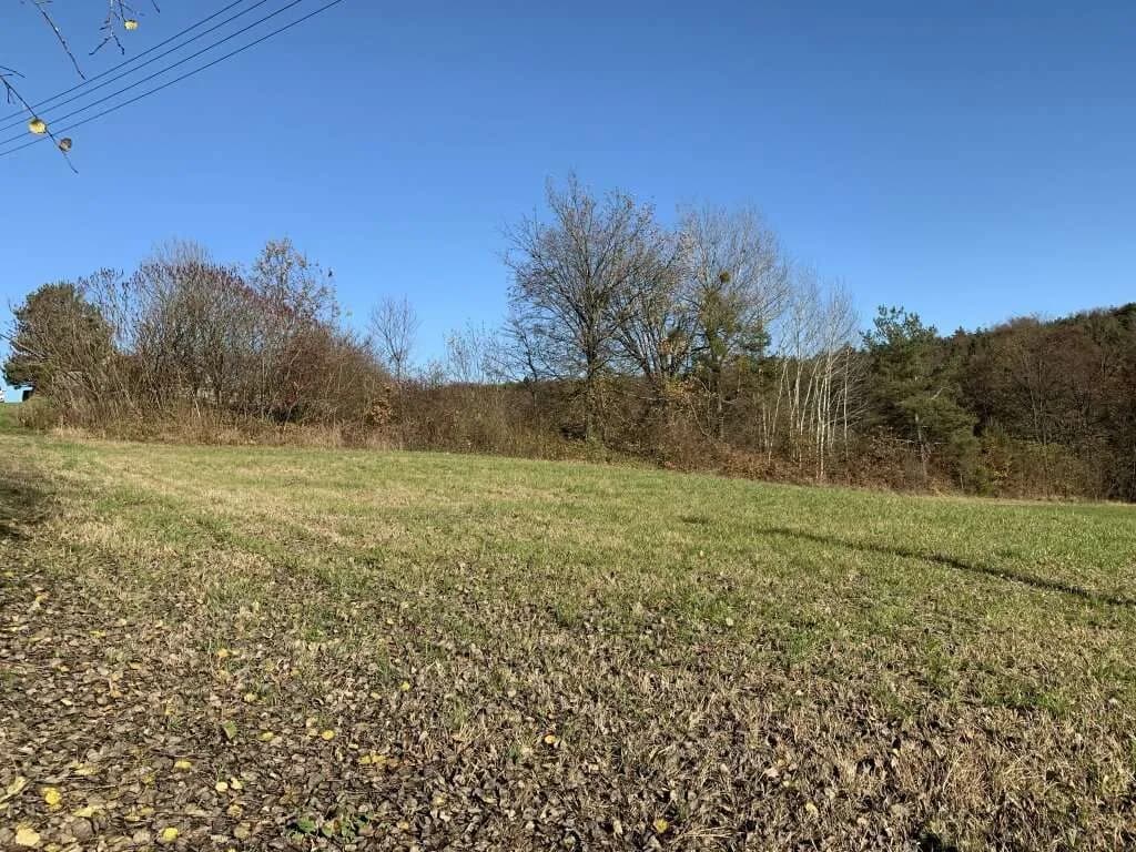 Grundstück kaufen in Jennersdorf – 4 211 m² – Bild 4 von 6