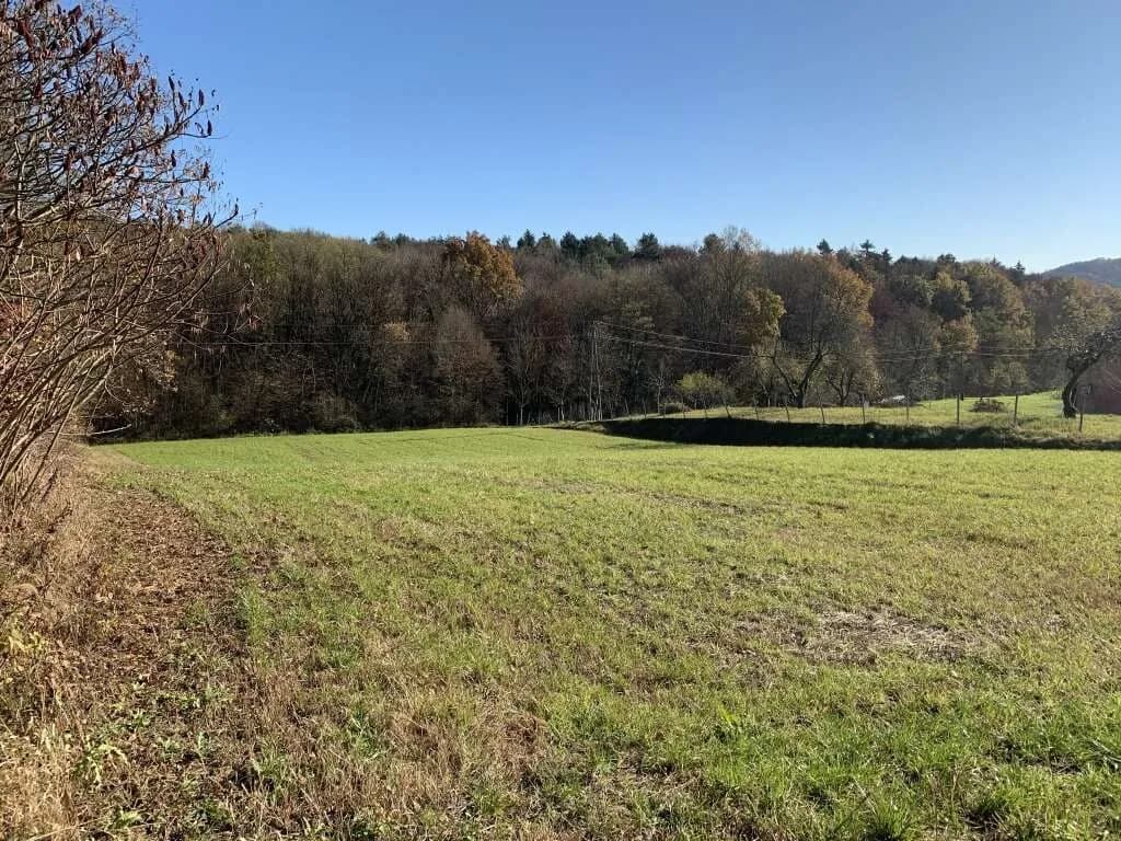 Grundstück kaufen in Jennersdorf – 4 211 m² – Bild 5 von 6