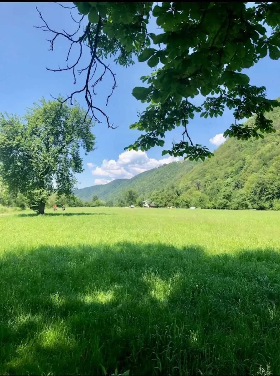 Gewerbeimmobilie kaufen in Rohrbach – 500 m², € 430.000 – Bild 5 von 21