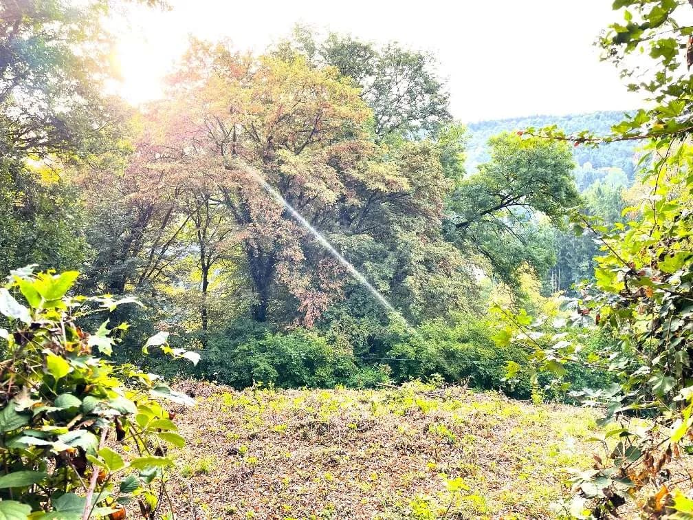 Grundstück kaufen in Sankt Pölten Land – 1 101 m², € 297.000 – Bild 3 von 6