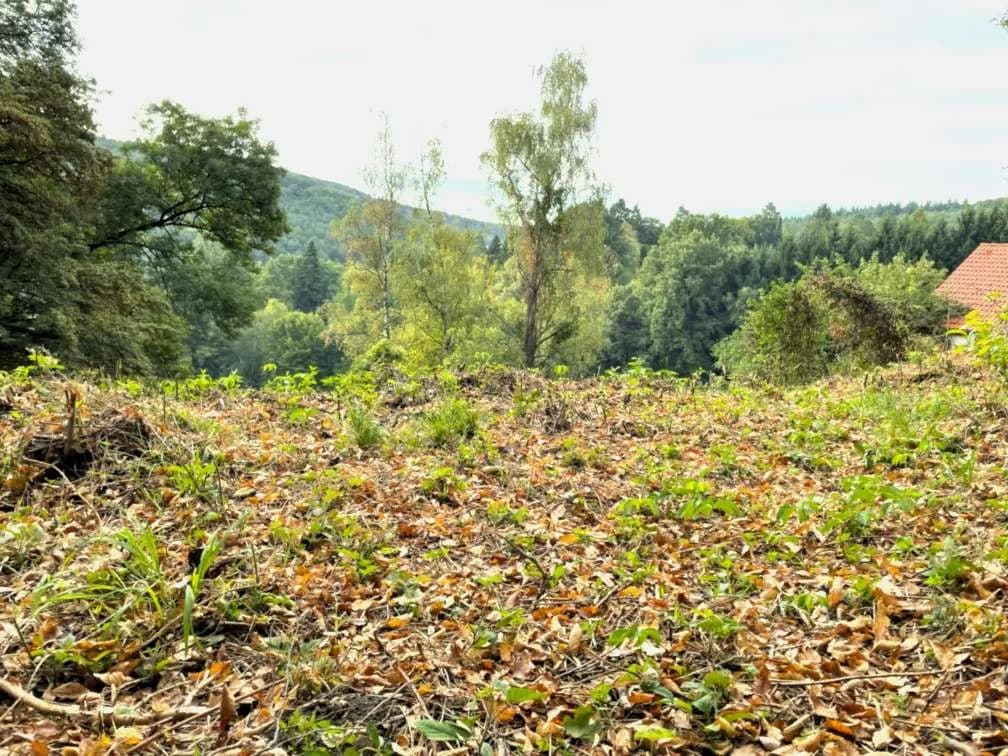 Grundstück kaufen in Sankt Pölten Land – 1 101 m², € 297.000 – Bild 4 von 6