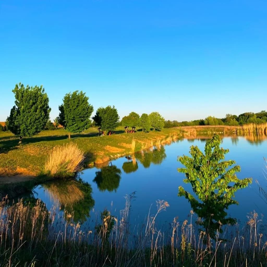 Immobilie kaufen in Oberwart – 90 000 m², € 430.000 – Bild 2 von 9
