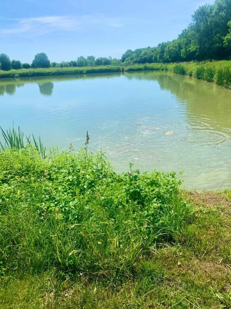 Immobilie kaufen in Oberwart – 90 000 m², € 430.000 – Bild 3 von 9