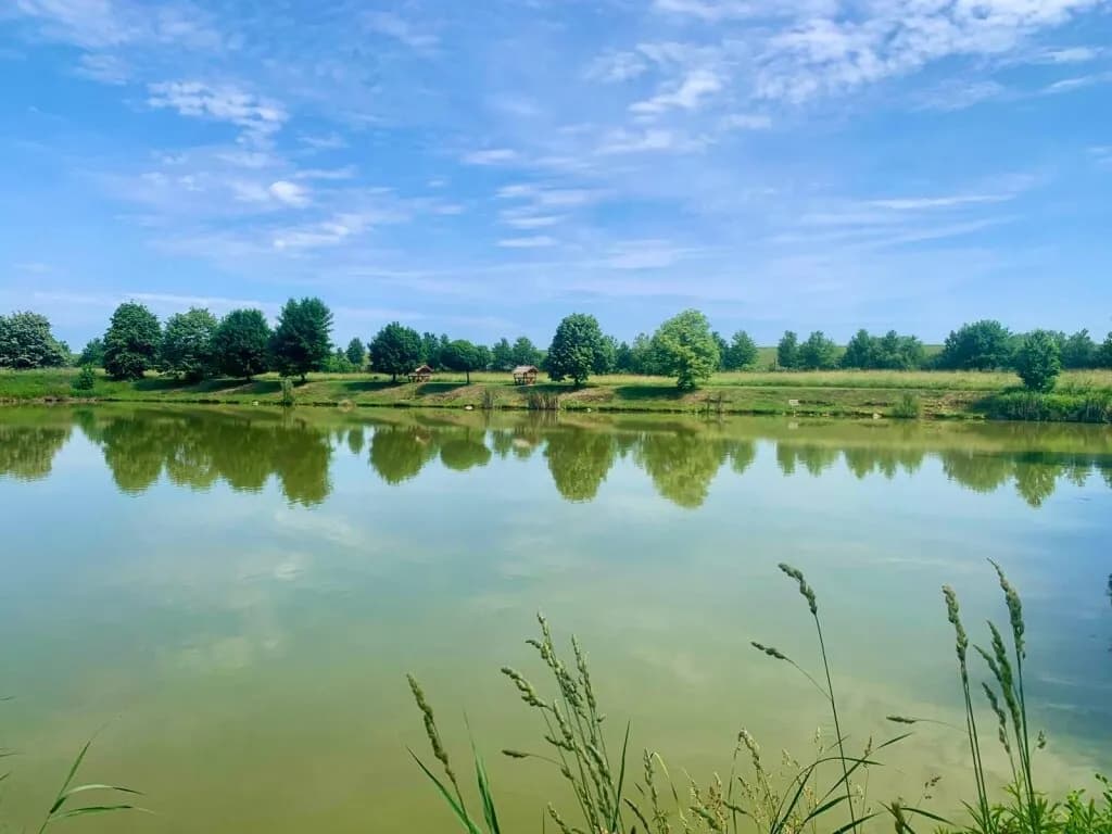 Immobilie kaufen in Oberwart – 90 000 m², € 430.000 – Bild 4 von 9