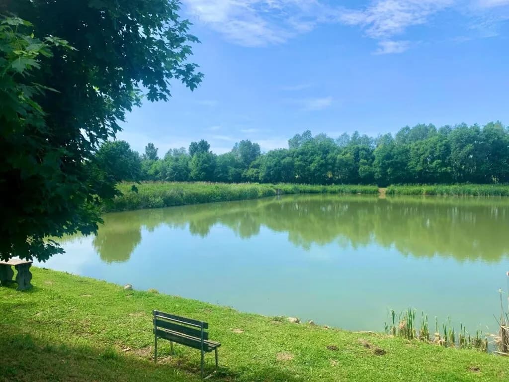 Immobilie kaufen in Oberwart – 90 000 m², € 430.000 – Bild 5 von 9