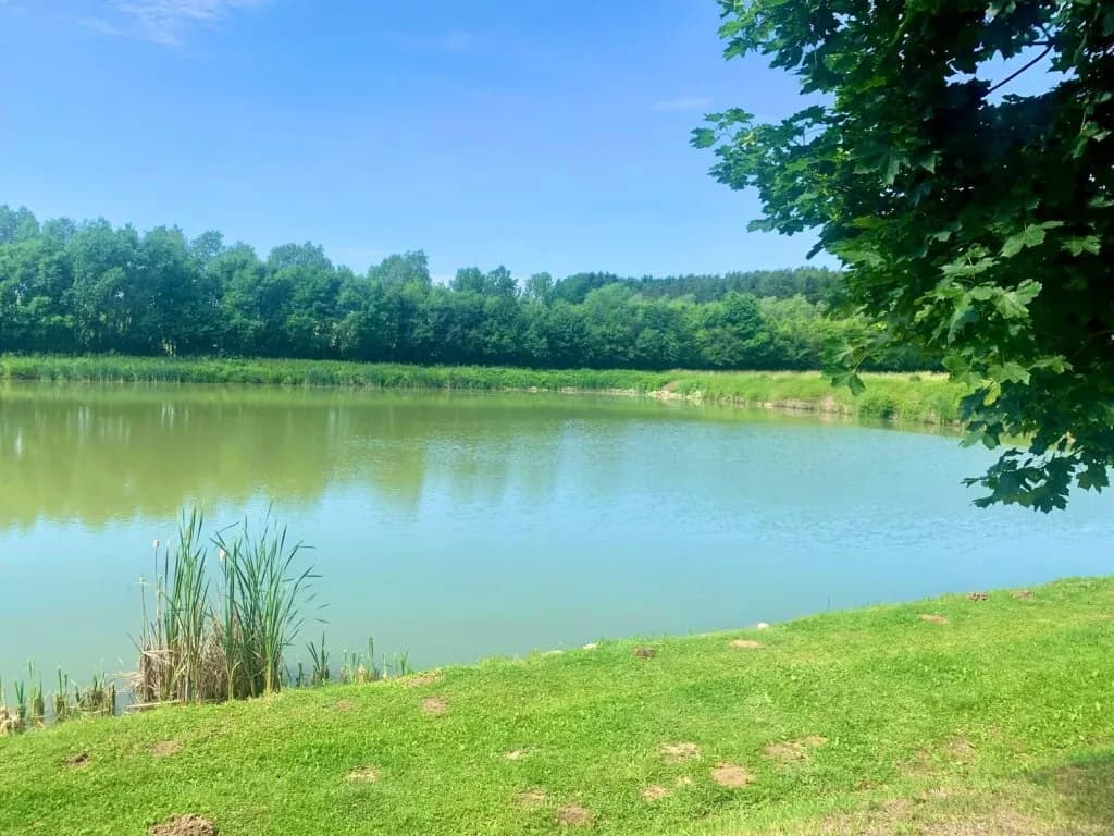 Immobilie kaufen in Oberwart – 90 000 m², € 430.000 – Bild 6 von 9