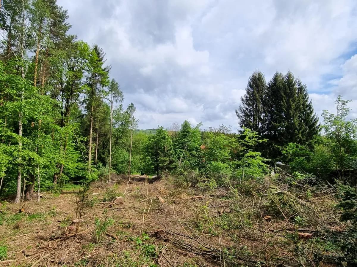 Grundstück kaufen in Sankt Pölten Land – 1 760 m², € 680.000 – Bild 8 von 9