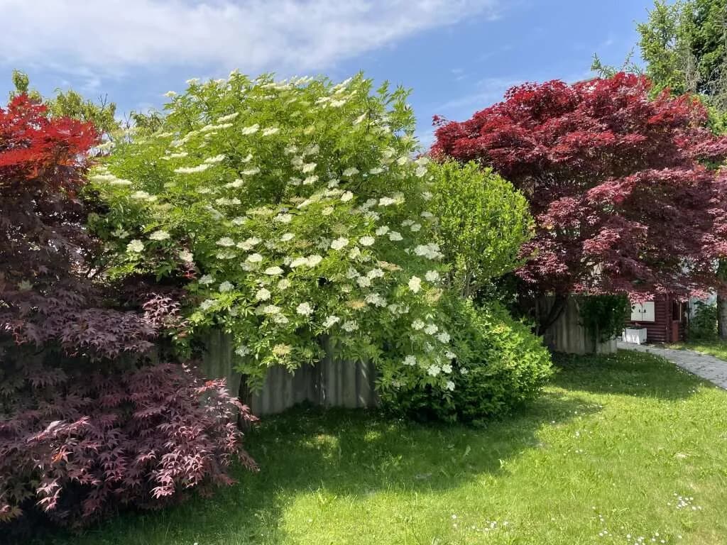 Immobilie kaufen in Hartberg-Fürstenfeld – 230 m², € 360.000 – Bild 13 von 30