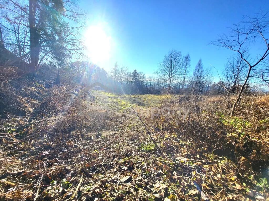 Grundstück kaufen in Graz-Umgebung – 5 954 m², € 600.000 – Bild 2 von 3