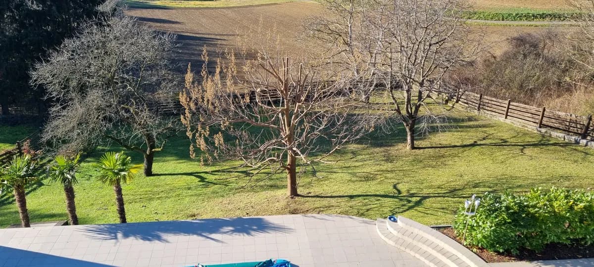 7-Zimmer-Haus mieten in Korneuburg – 320 m², € 2.900 – Bild 7 von 34