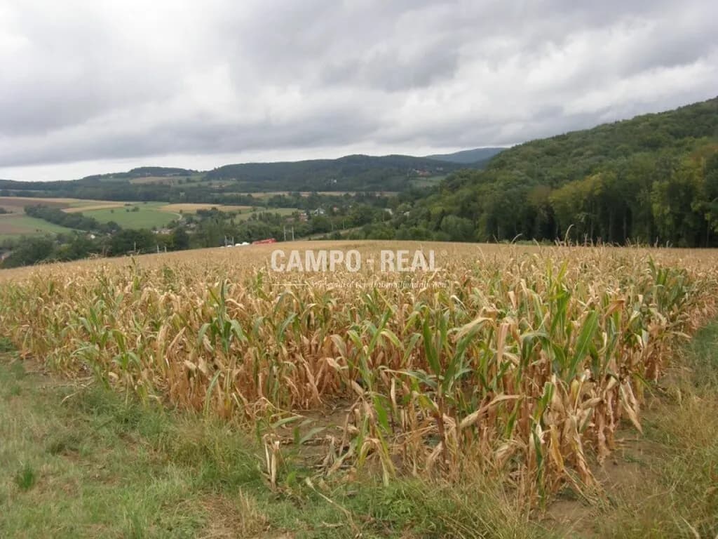 Immobilie kaufen in Sankt Pölten Land – 70 000 m², € 980.000