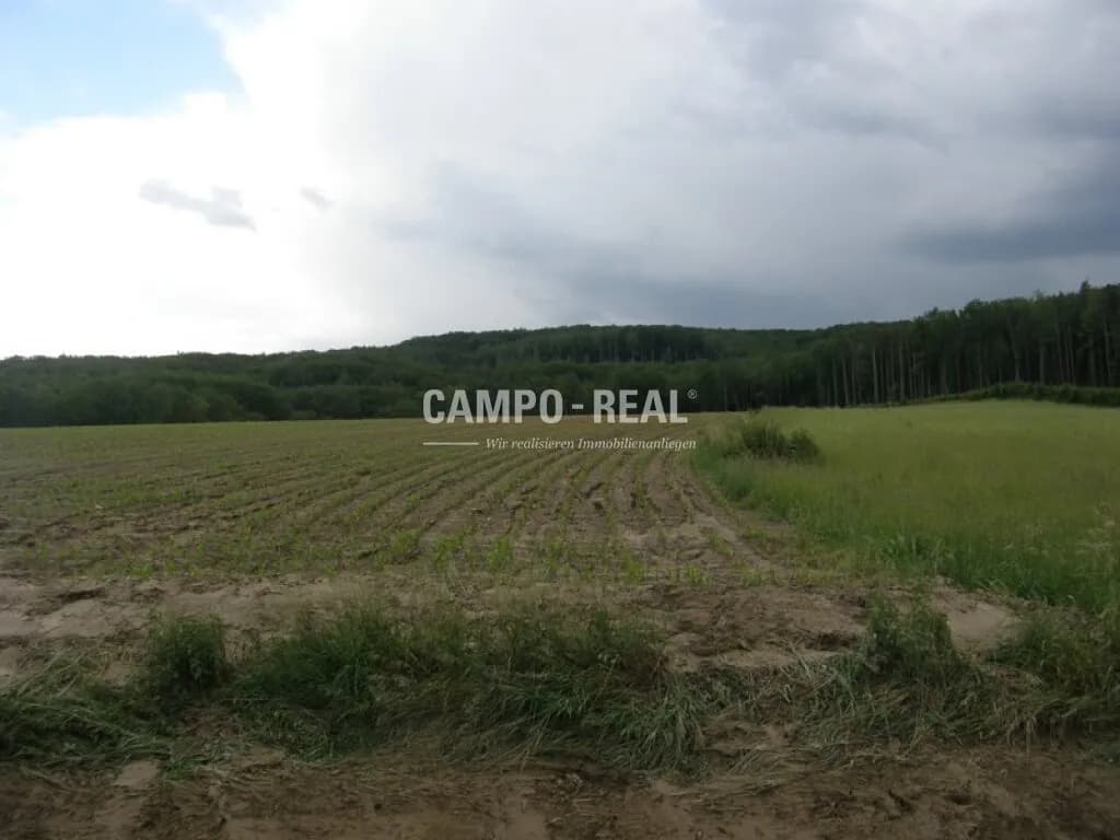 Immobilie kaufen in Sankt Pölten Land – 70 000 m², € 980.000 – Bild 5 von 5