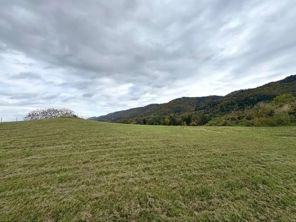 Grundstück kaufen in Leibnitz – 6 444 m², € 390.000 – Bild 1 von 2