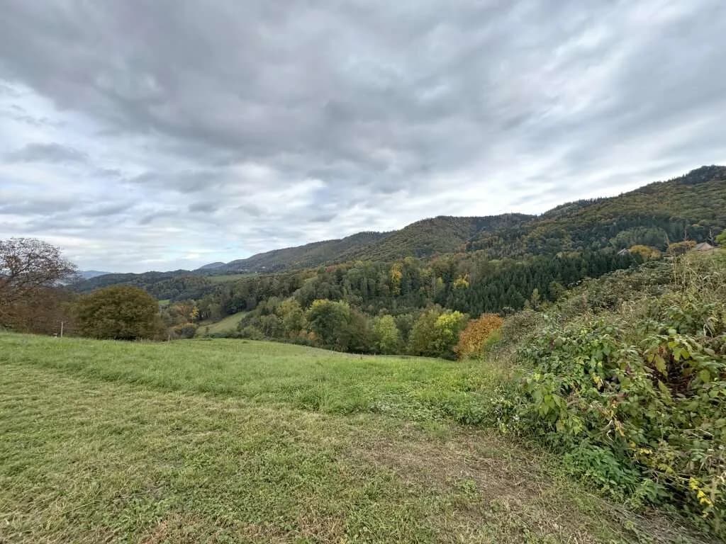 Grundstück kaufen in Leibnitz – 6 444 m², € 390.000 – Bild 2 von 2
